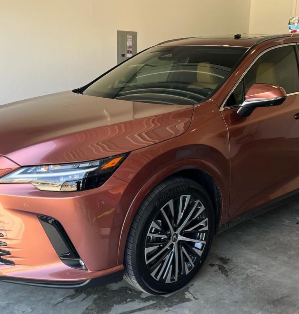 480439452_649257600959093_5440495954621513326_n